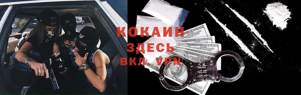 mdpv Елизово