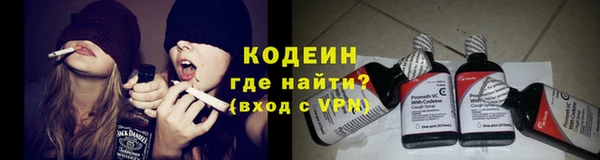 mdpv Елизово