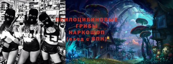 mdpv Елизово